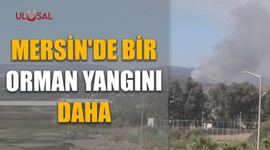 Mersin'de bir orman yangını daha